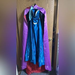 Frozen Princess Anna Adult Costume